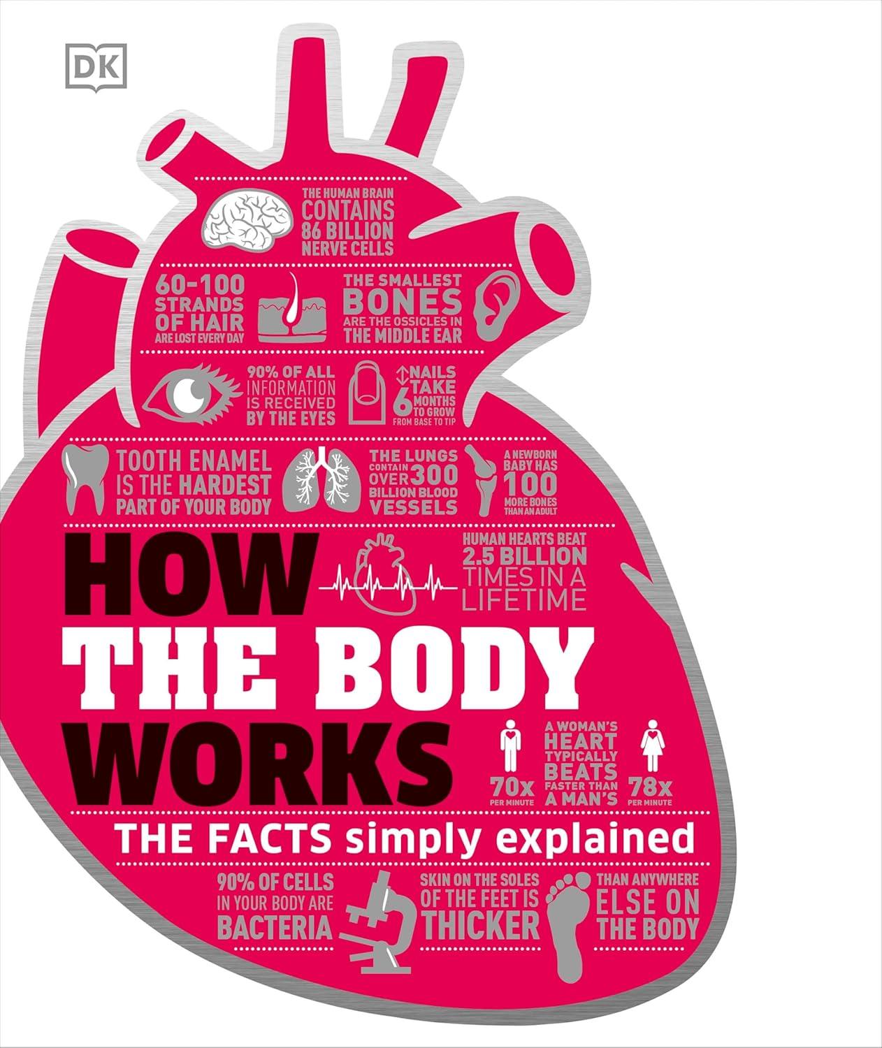 Sách tiếng Anh How the Body Works: The Facts Simply Explained (DK How Stuff Works) chính hãng - Bookee