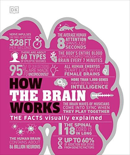 Sách tiếng Anh How the Brain Works: The Facts Visually Explained (DK How Stuff Works) chính hãng - Bookee